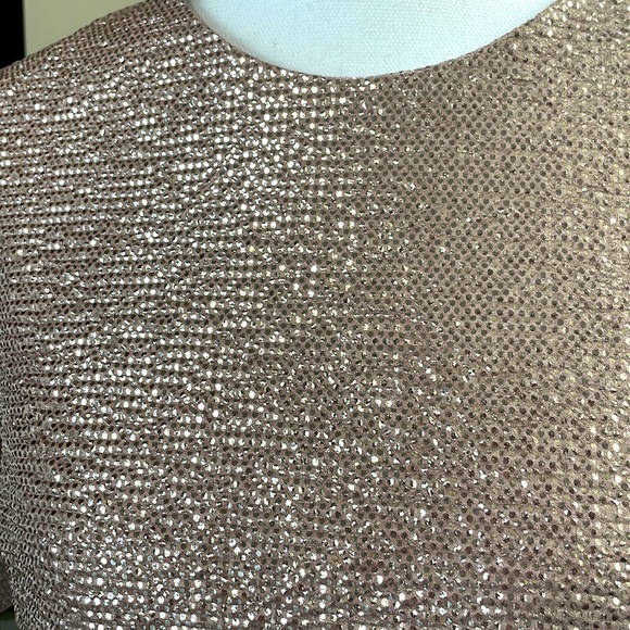 Sparkly Metallic Short Sleeve Blouse, Size S - Picture 3 of 5